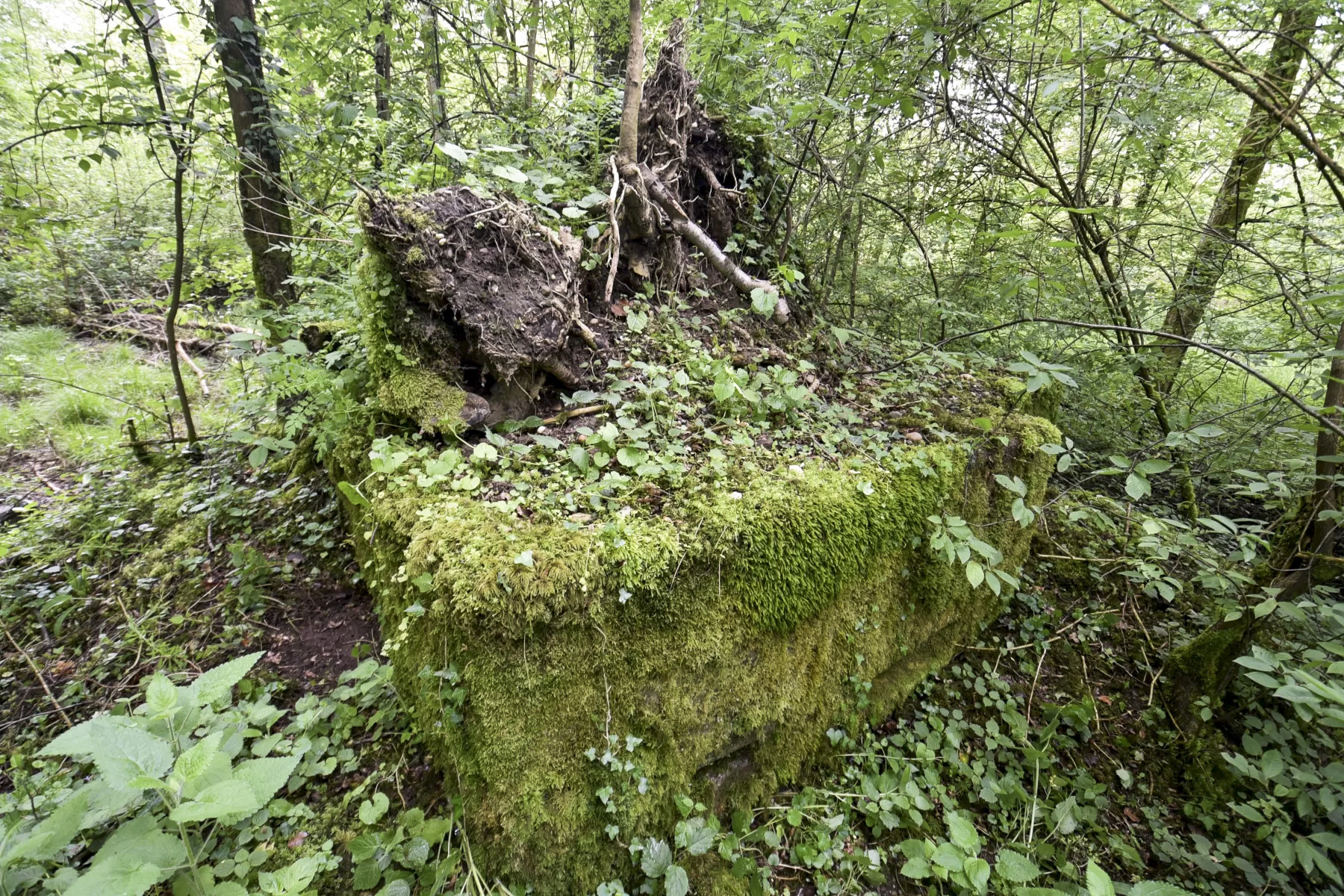 Ligne Maginot - HEIDENBERG 1 - (Blockhaus pour arme infanterie) - 