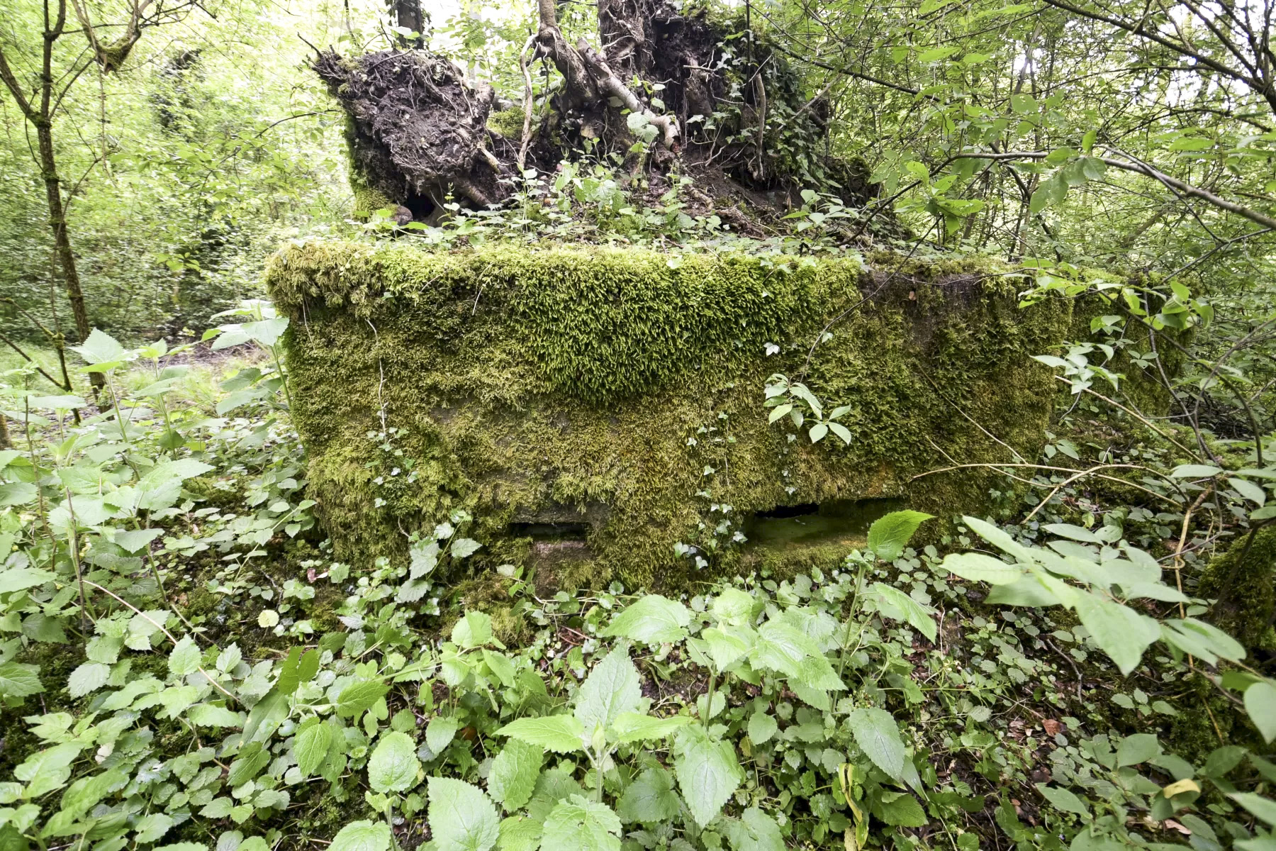 Ligne Maginot - HEIDENBERG 1 - (Blockhaus pour arme infanterie) - 