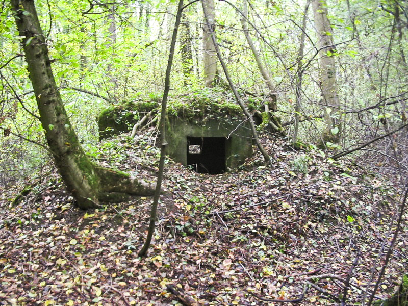 Ligne Maginot - HEIDENBERG 1 (Blockhaus pour arme infanterie) - Vue générale extérieure