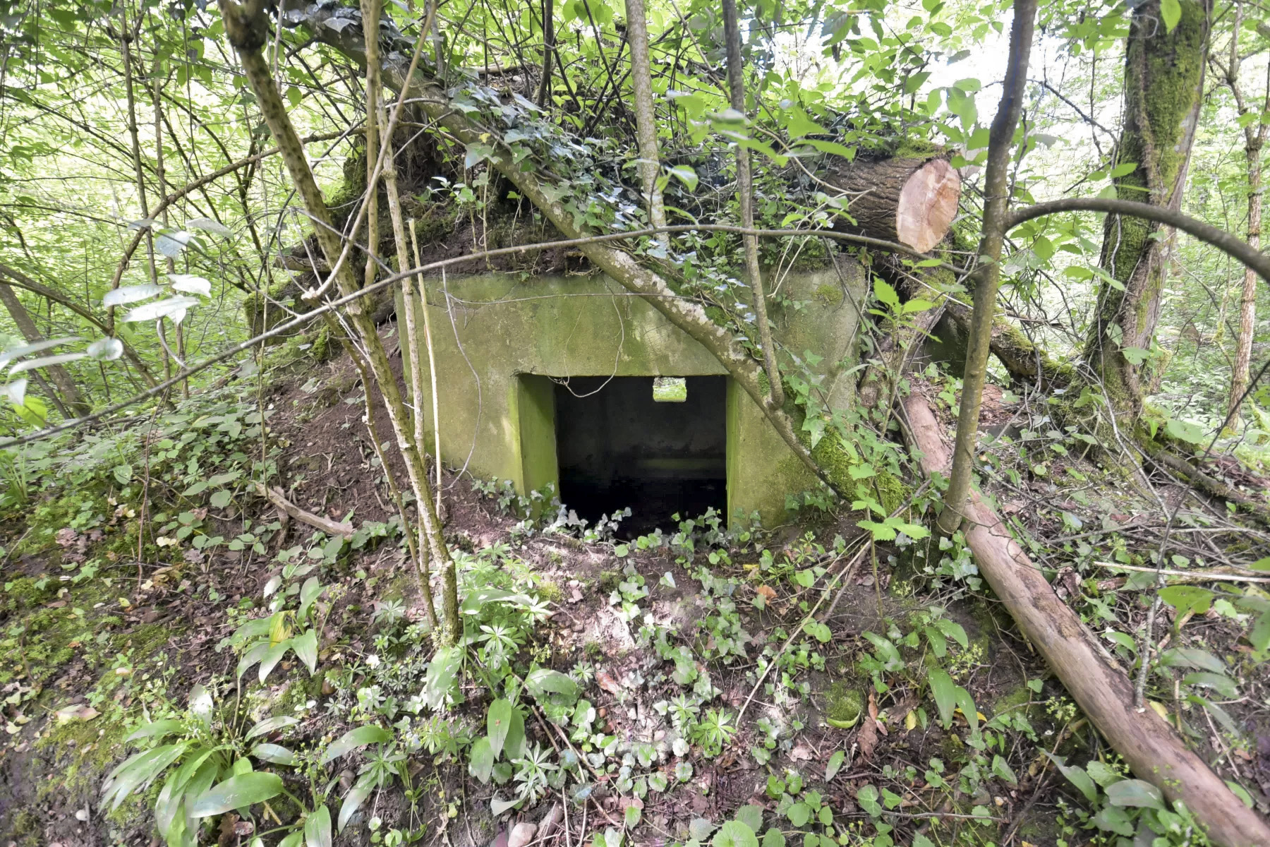 Ligne Maginot - HEIDENBERG 1 - (Blockhaus pour arme infanterie) - 