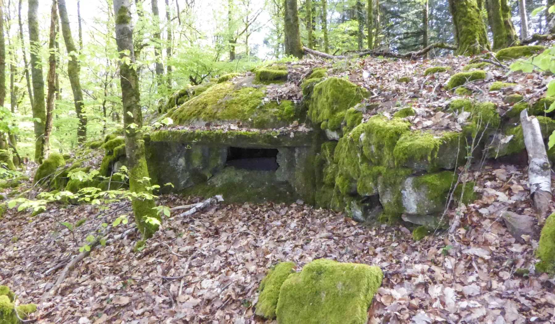 Ligne Maginot - FORT DE ROPPE SUD-EST 2 - (Blockhaus pour arme infanterie) - 