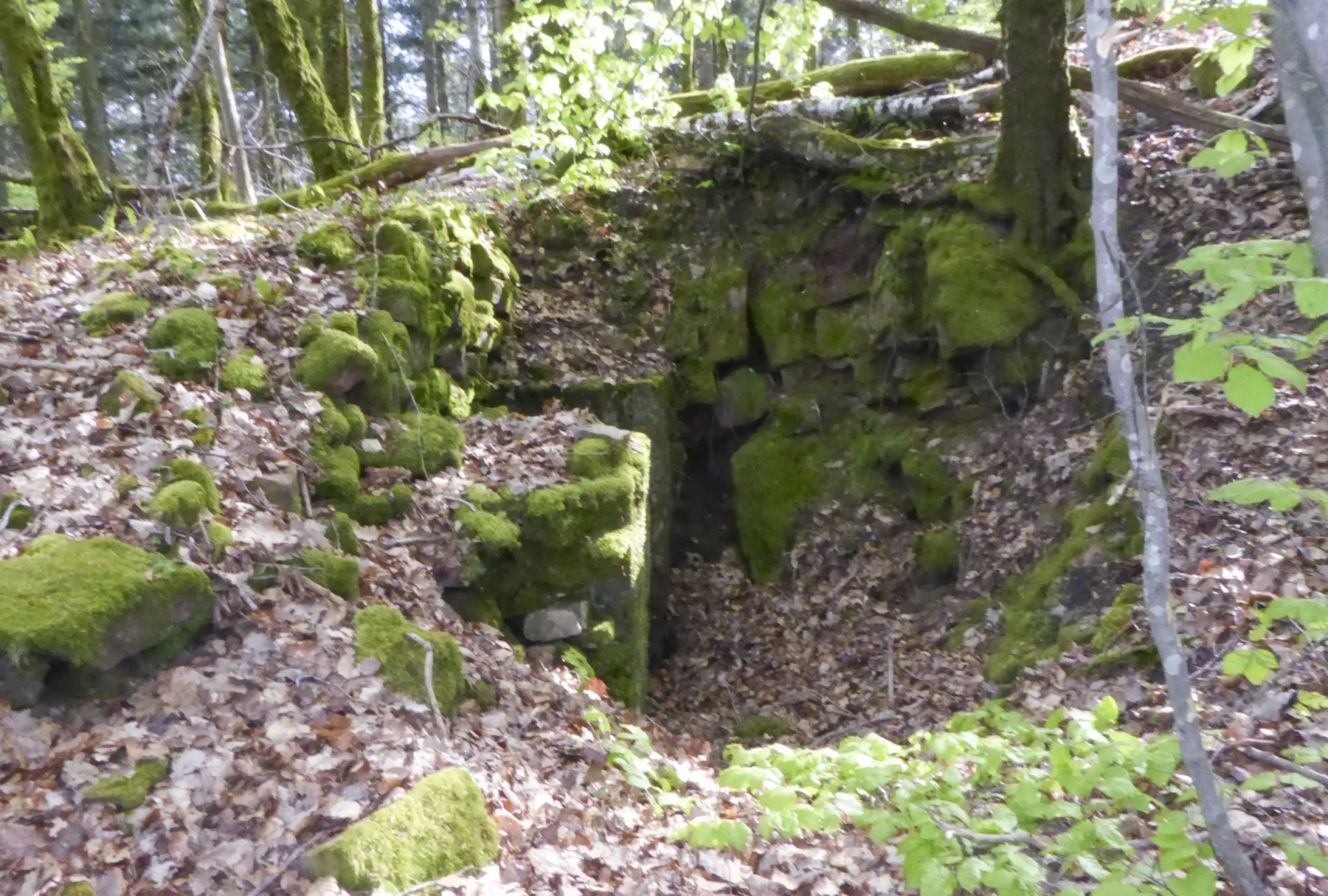 Ligne Maginot - FORT DE ROPPE SUD-EST 2 - (Blockhaus pour arme infanterie) - 