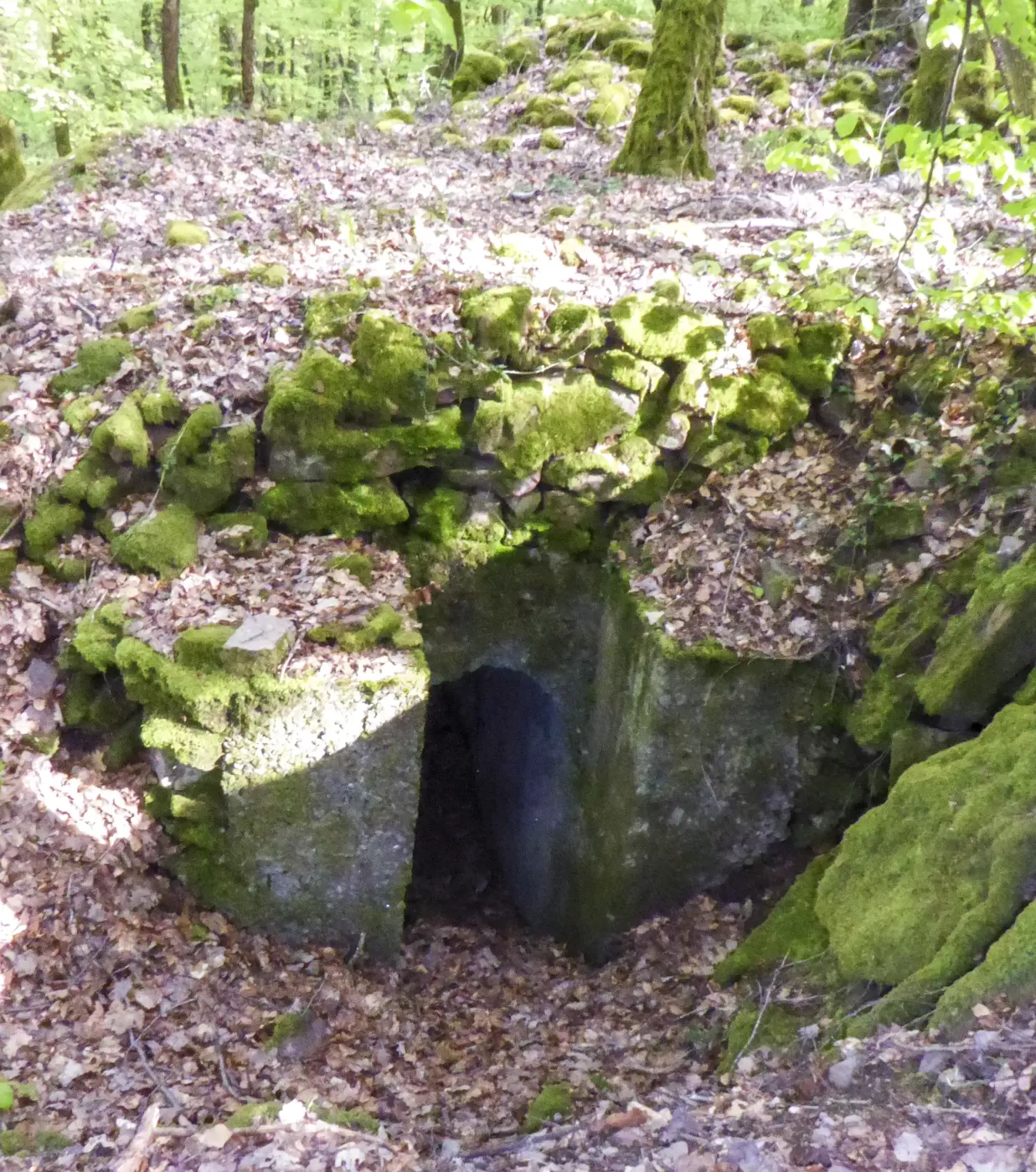 Ligne Maginot - FORT DE ROPPE SUD-EST 2 - (Blockhaus pour arme infanterie) - 