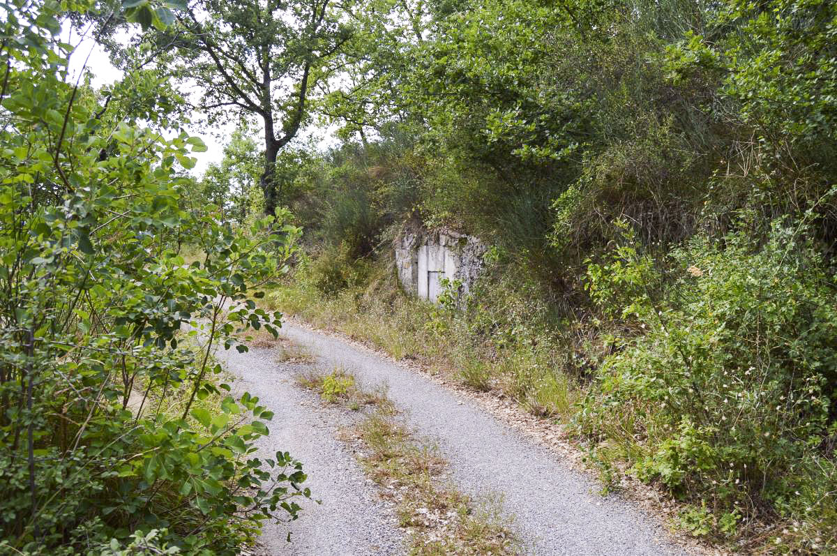 Ligne Maginot - CHAMP DE TIR - (Chambre de coupure) - Route vers l’ouvrage d’infanterie