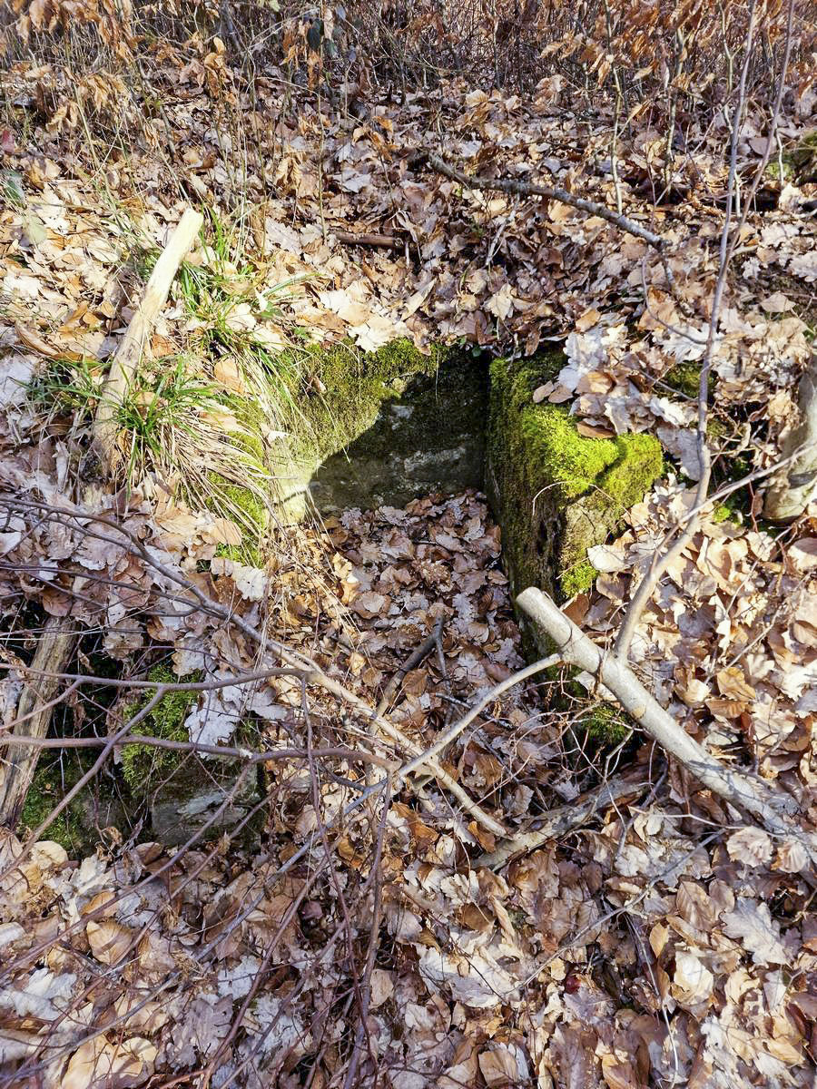 Ligne Maginot - LORENTZERWALD 4 - (Cuve pour arme d'infanterie) - Niche à munitions