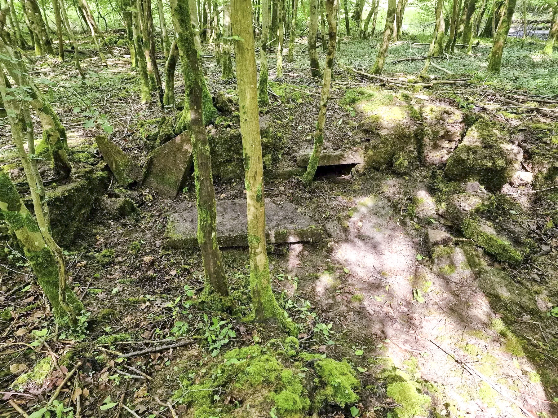 Ligne Maginot - LANGWIESERWALD 1 - (Cuve pour arme d'infanterie) - Reste de double poste de tir avec niche à munitions au milieu