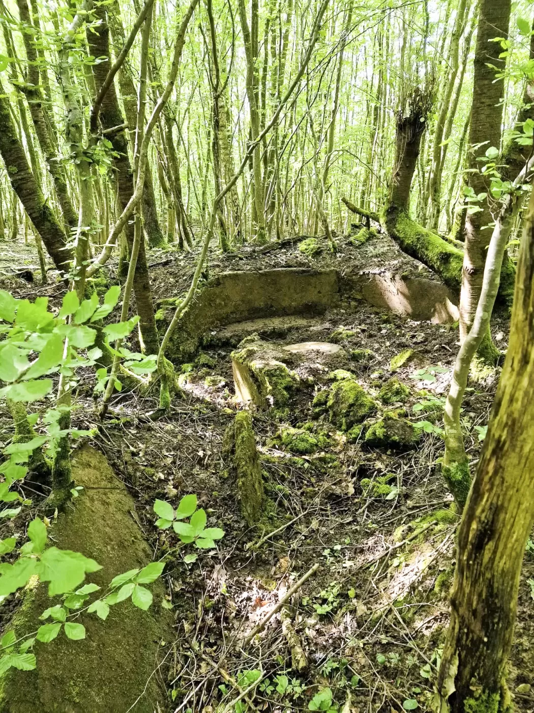 Ligne Maginot - LANGWIESERWALD 2 - (Cuve pour arme d'infanterie) - Poste de tir avec plot central