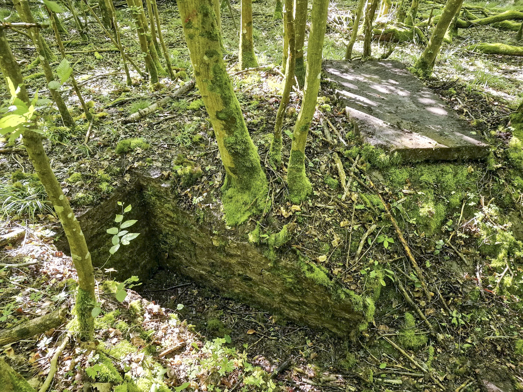 Ligne Maginot - LANGWIESERWALD 3 - (Observatoire indéterminé) - Poste d'observation