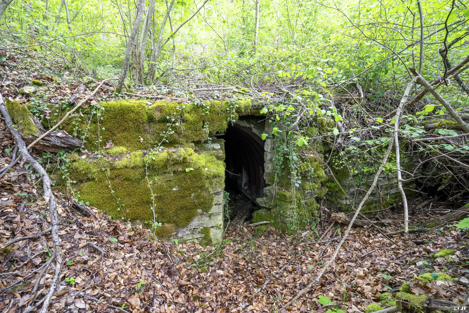 Ligne Maginot - BOIS DE TETING 2 - (PC) - L'alvéole gauche