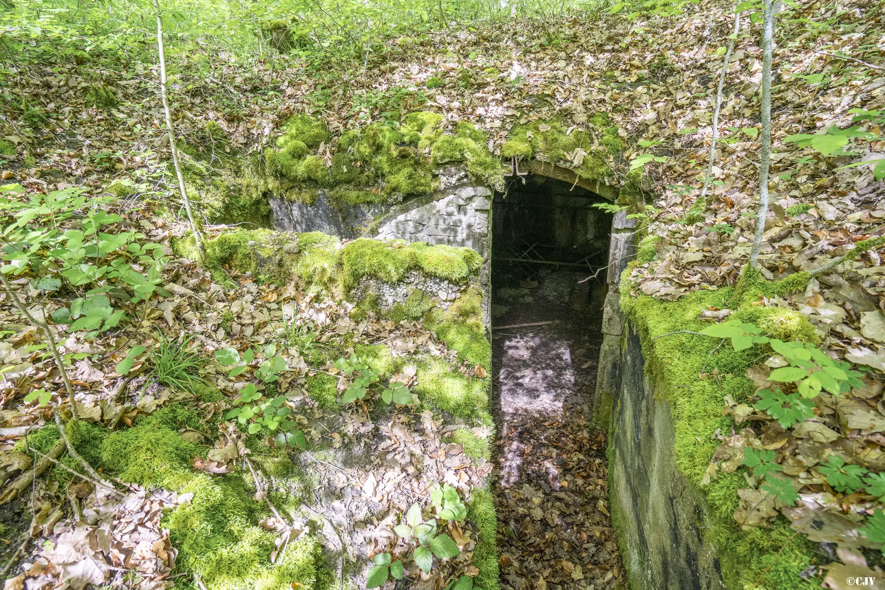 Ligne Maginot - BB3-C - EHEFLOSS EST (CM9/III/161° RIF) - (PC de Sous-Quartier) - L'alvéole gauche