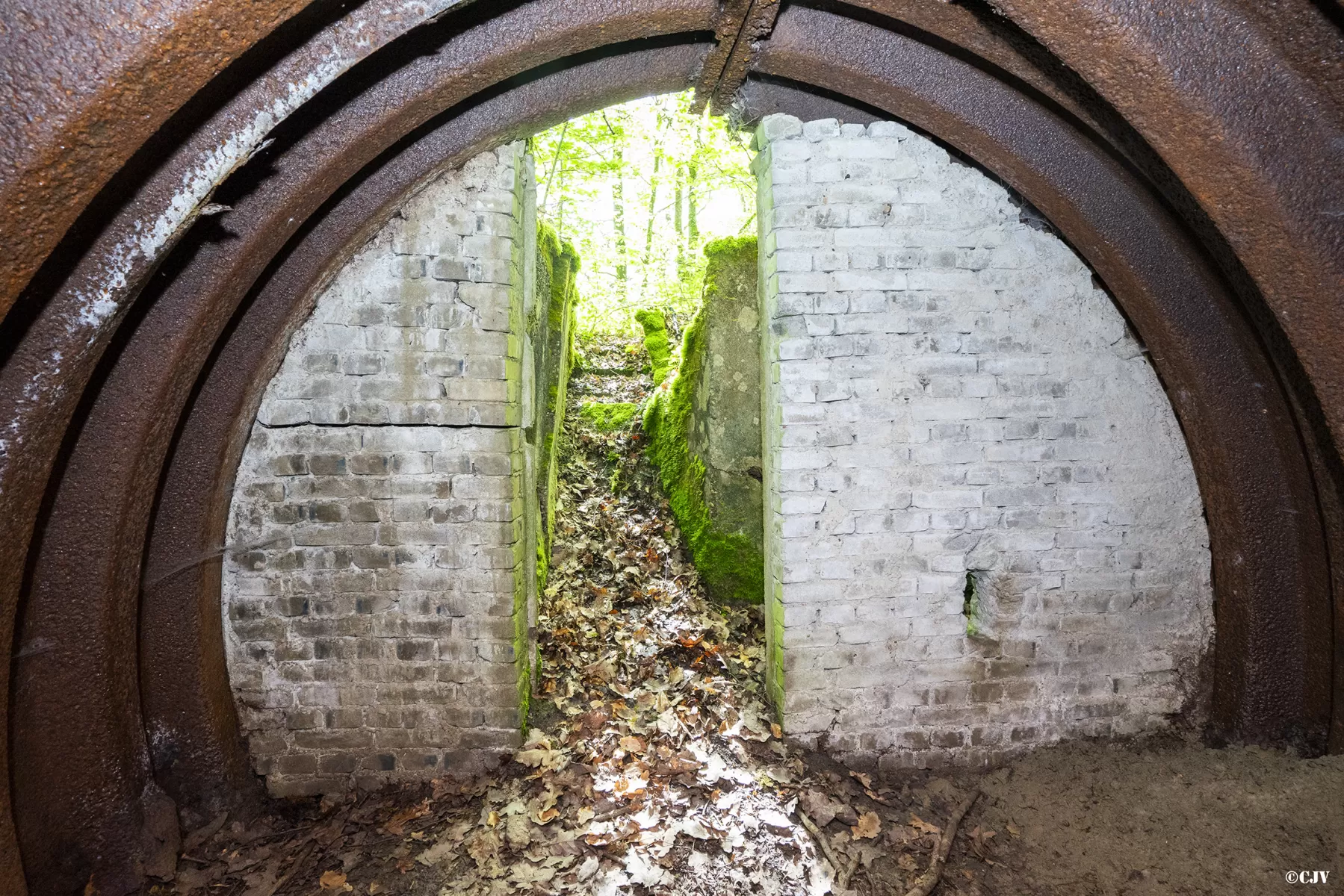 Ligne Maginot - BB3-C - EHEFLOSS EST (CM9/III/161° RIF) - (PC de Sous-Quartier) - L'alvéole gauche