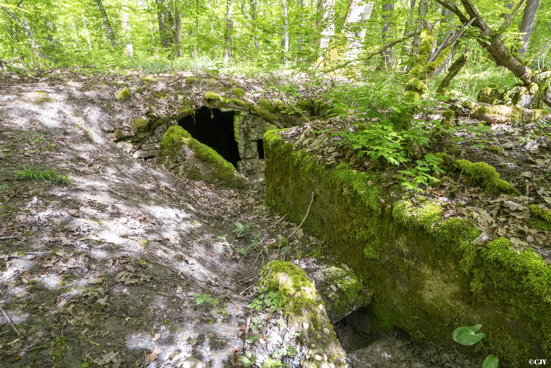 Ligne Maginot - BB3-C - EHEFLOSS EST (CM9/III/161° RIF) - (PC de Sous-Quartier) - L'alvéole droite