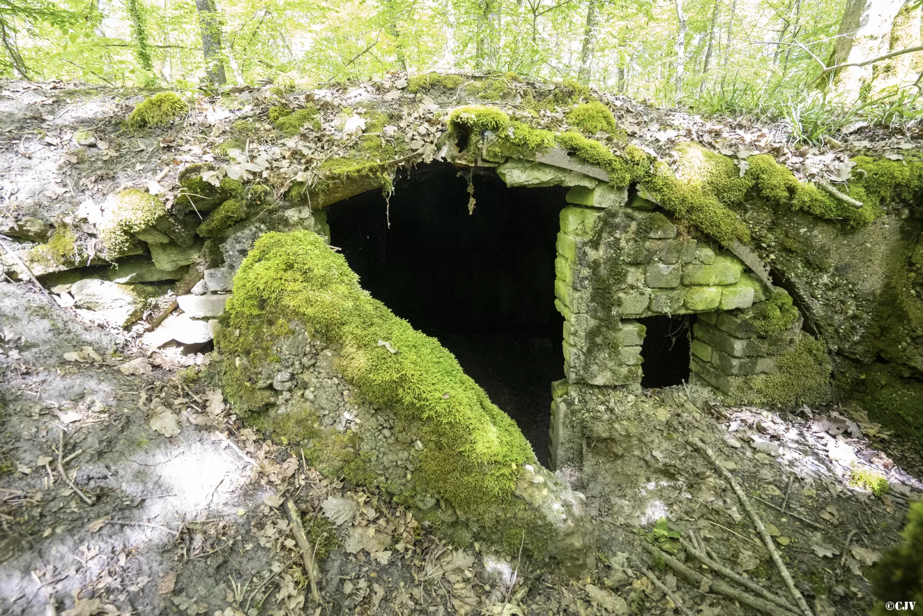 Ligne Maginot - BB3-C - EHEFLOSS EST (CM9/III/161° RIF) - (PC de Sous-Quartier) - L'alvéole droite
L'entrée
