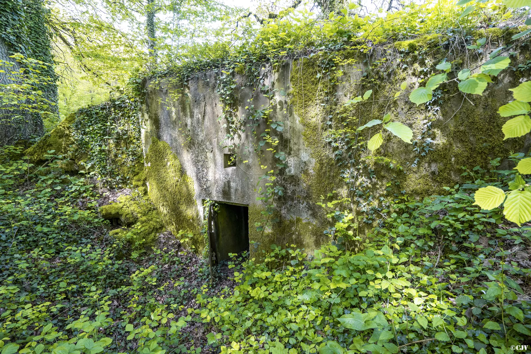 Ligne Maginot - BB129 - BRUEHL EST - (Blockhaus pour arme infanterie) - L'entrée