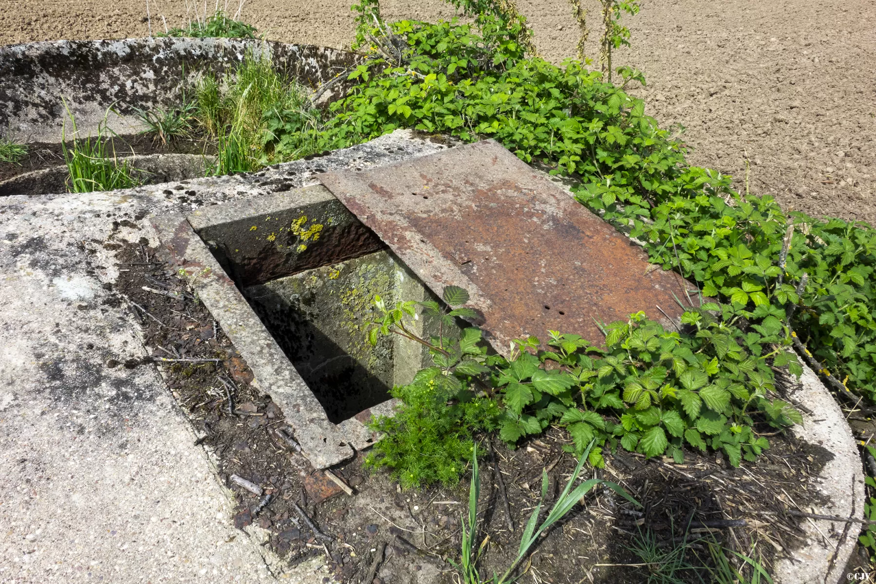 Ligne Maginot - BT39 - SAINTE BARBE SUD - (Cuve pour arme d'infanterie) - 