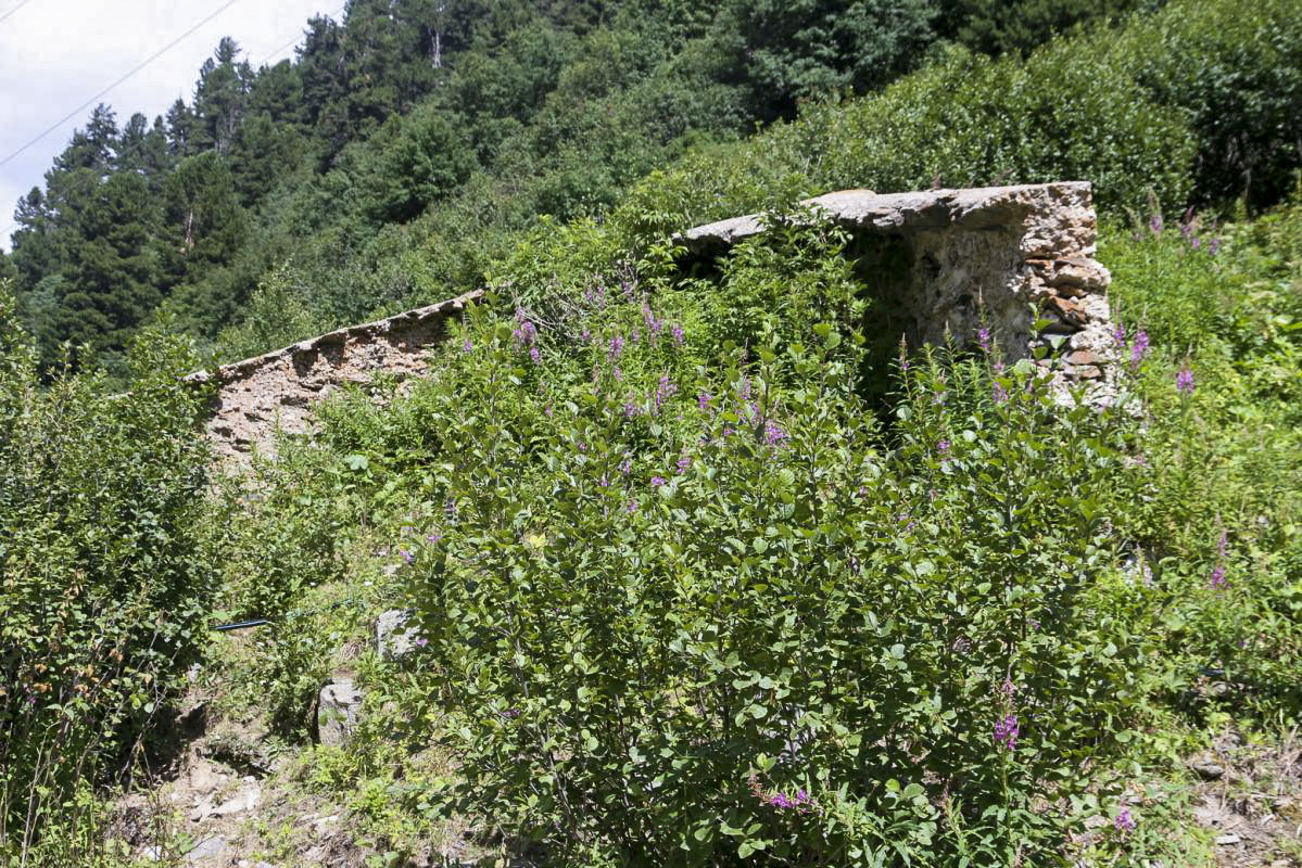Ligne Maginot - LAVOIR - (Casernement) - Pare-avalanche situé à gauche du casernement