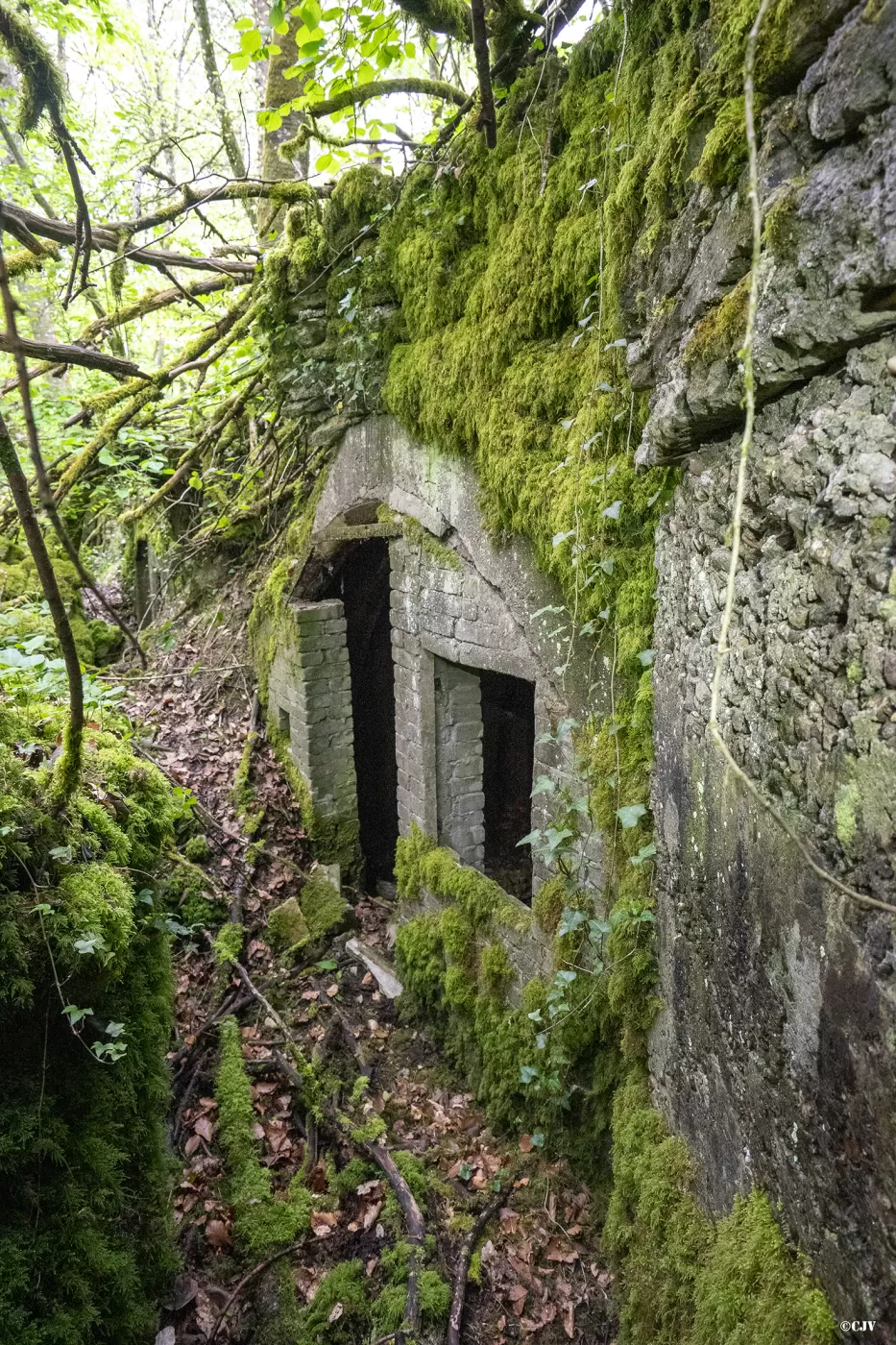 Ligne Maginot - BOIS DE MEDERCHEN (I/160° RIF) - (PC de Quartier) - 
