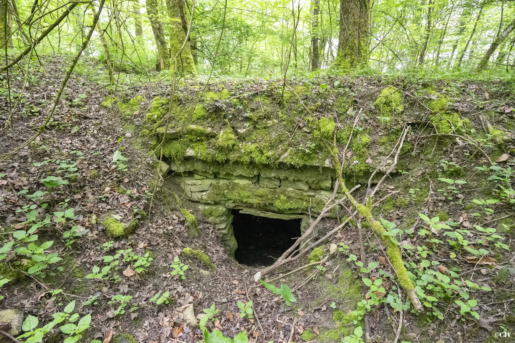 Ligne Maginot - MEDERCHEN SUD - (Abri) - L'entrée Ouest