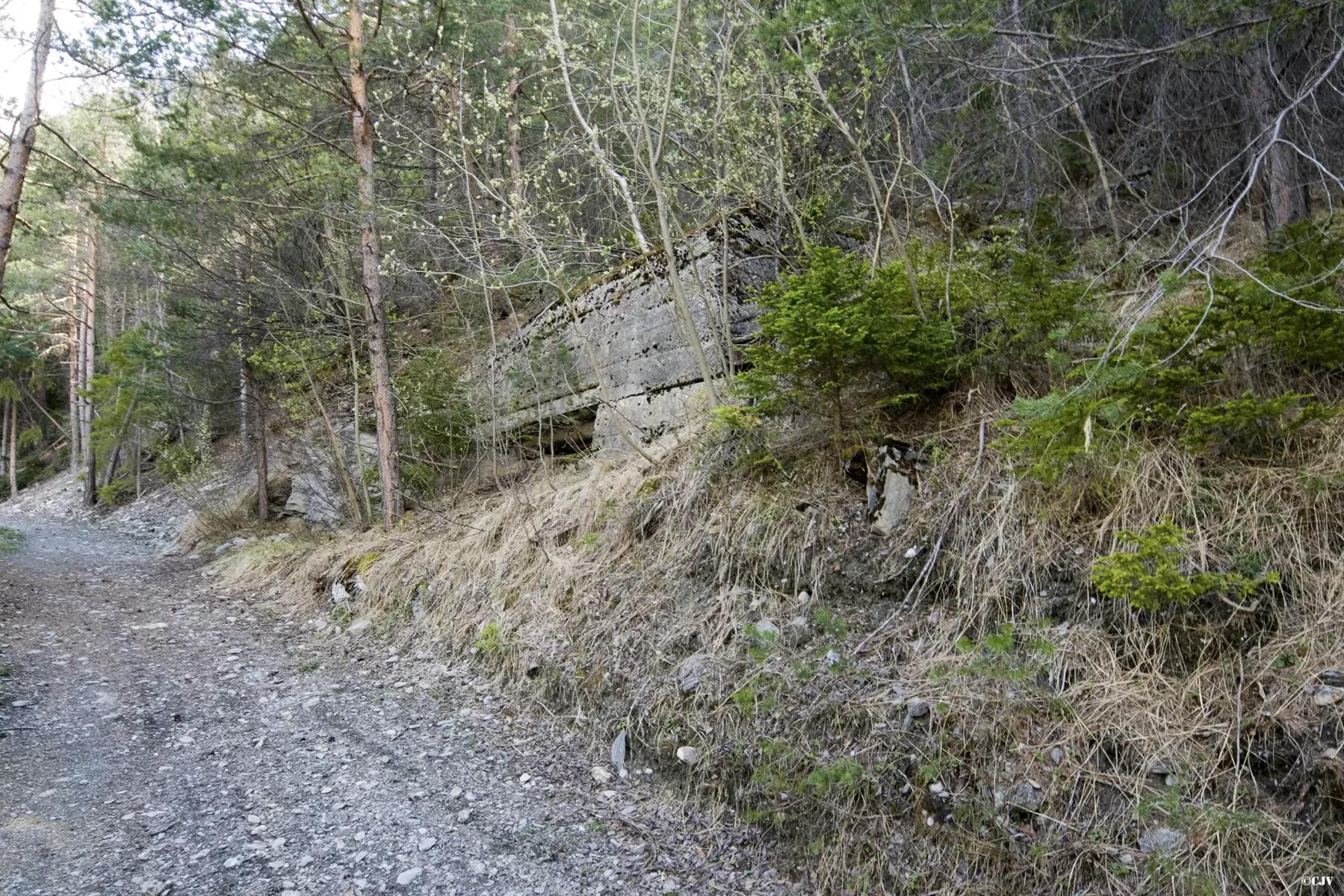 Ligne Maginot - PONT DU NANT - (Blockhaus pour arme infanterie) - 