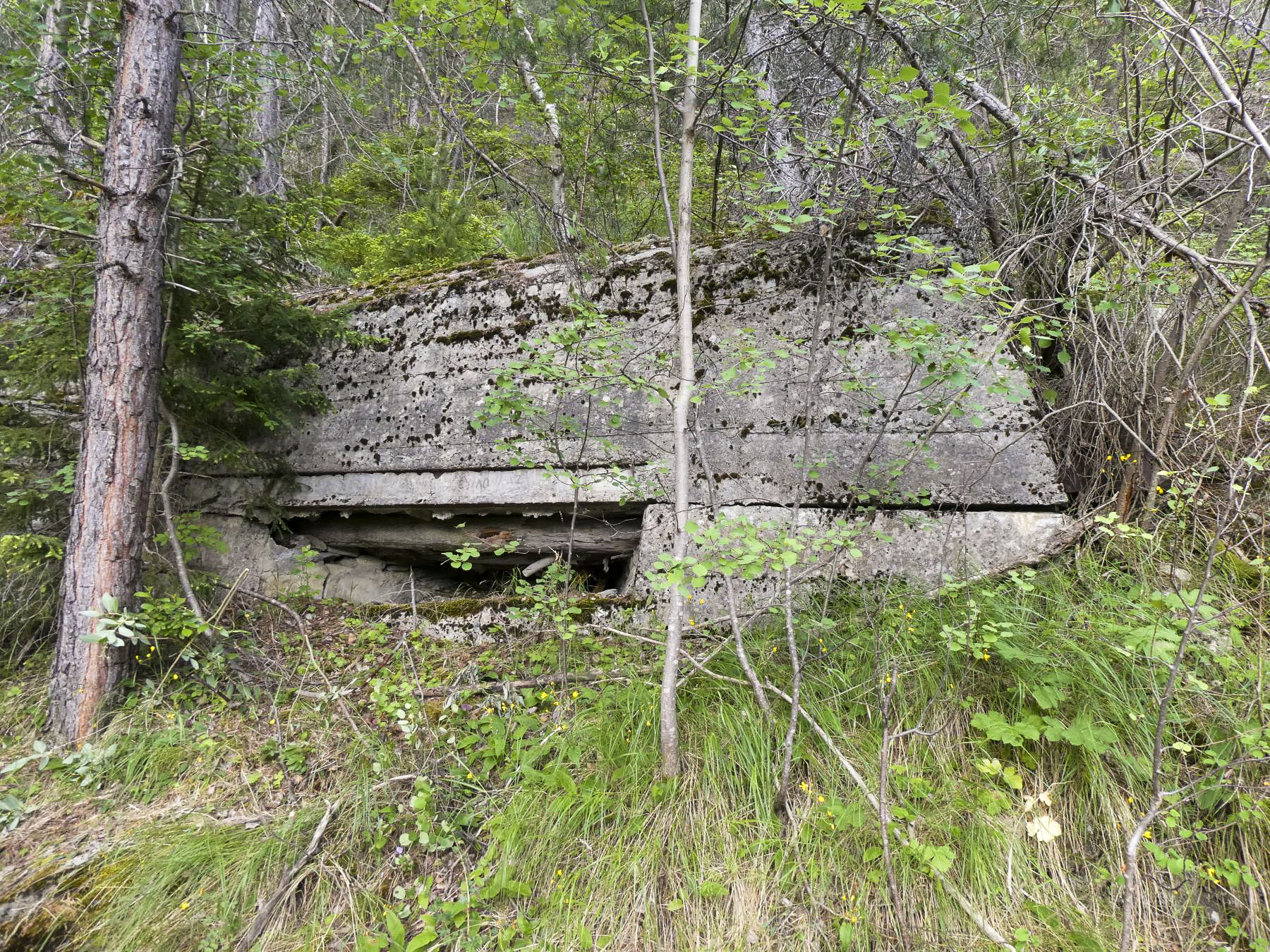 Ligne Maginot - PONT DU NANT - (Blockhaus pour arme infanterie) - 
