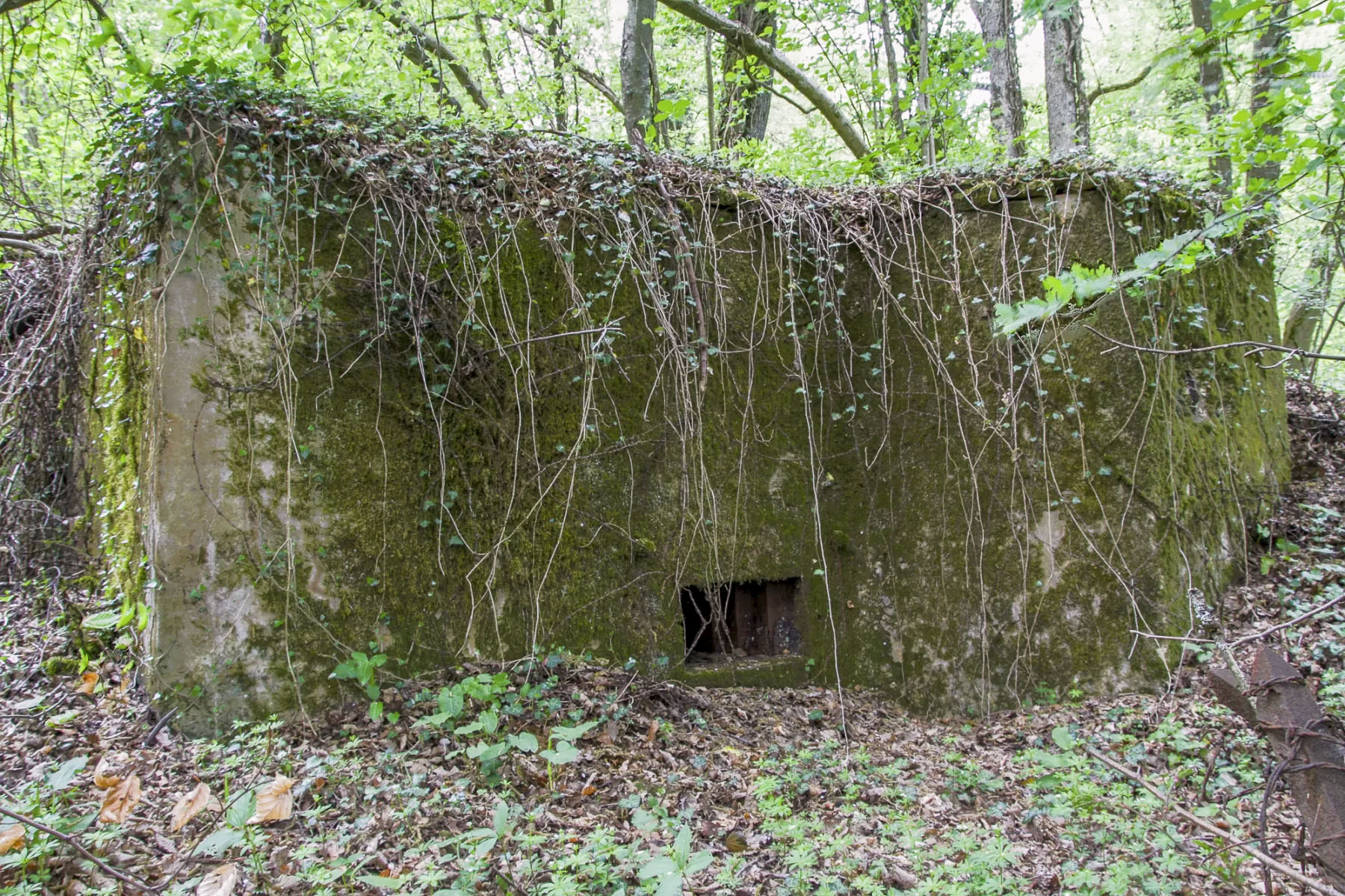 Ligne Maginot - CB335 - BOIS DE LA FANK - (Blockhaus pour arme infanterie) - 