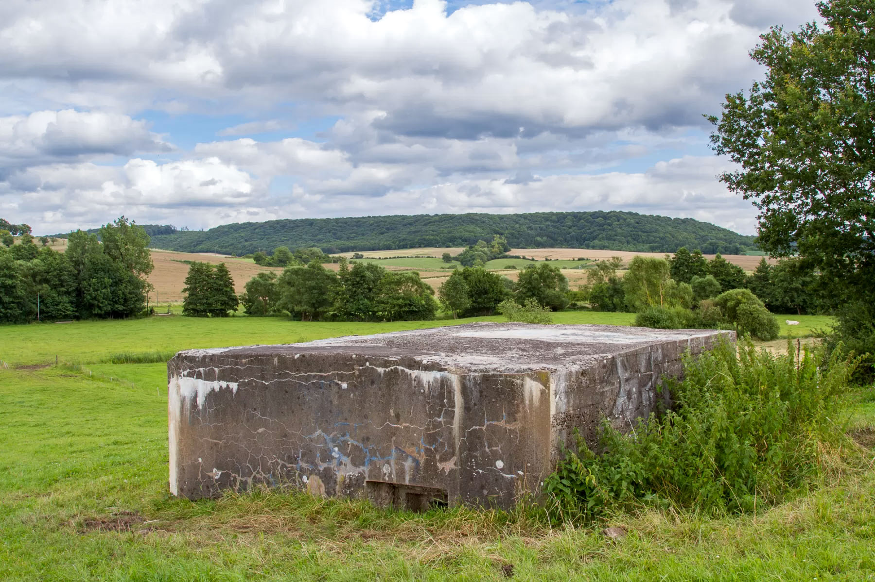 Ligne Maginot - CB611 - MOULIN BAS EST - (Blockhaus pour arme infanterie) - 