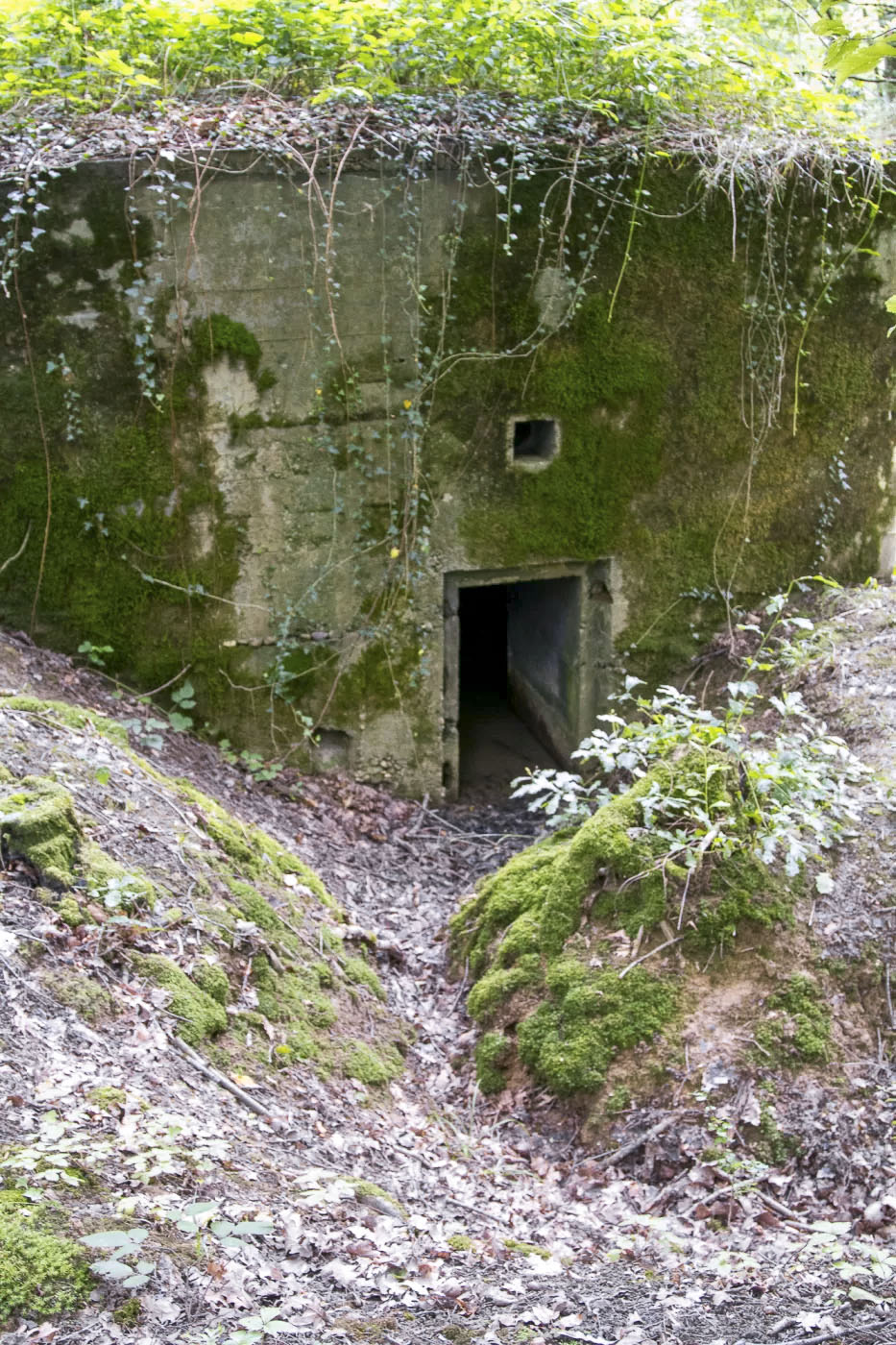 Ligne Maginot - CB277 - IDLINGEN - (Blockhaus pour arme infanterie) - Entrée du blockhaus.
La tranchée d'accès est encore bien visible.
