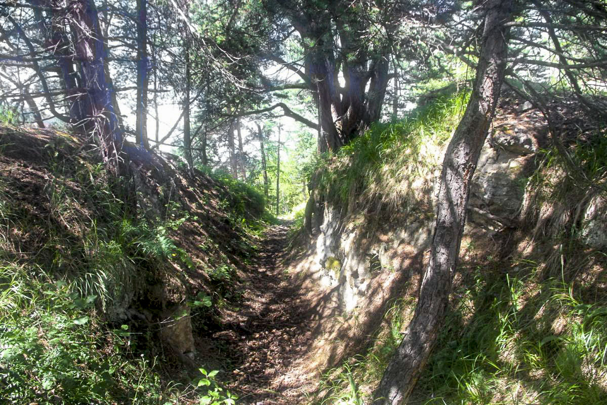 Ligne Maginot - COL DES TROIS CROIX SUPéRIEUR - (Blockhaus pour arme infanterie) - Tranchée d'accès sur l'arête, en arrière du bloc