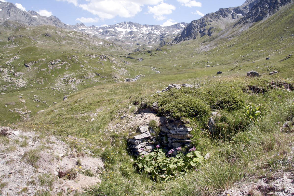 Ligne Maginot - NOTRE-DAME DES NEIGES 4 - (Blockhaus pour arme infanterie) - 
