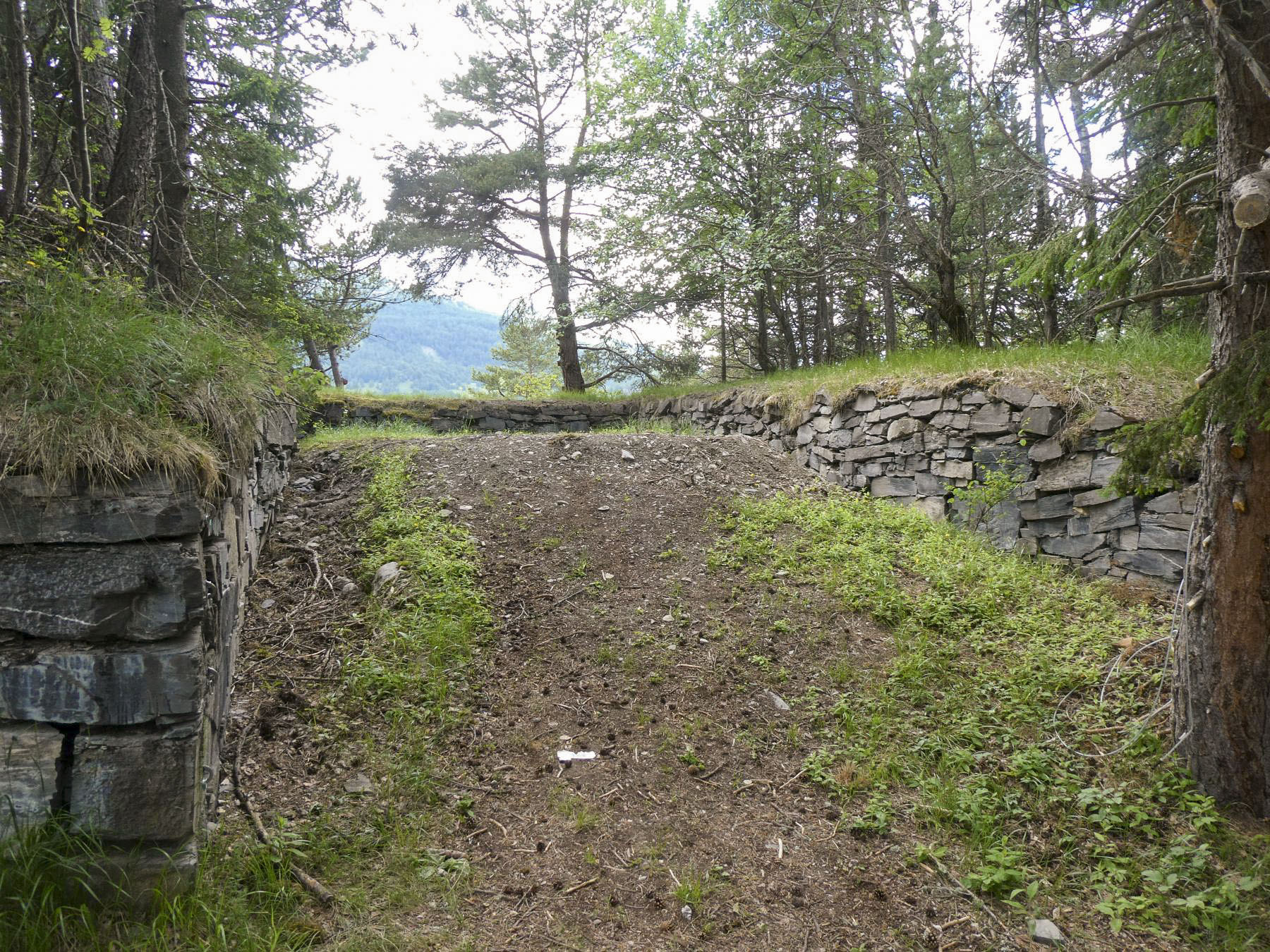 Ligne Maginot - TELEGRAPHE SUD - (Position d'artillerie préparée) - 