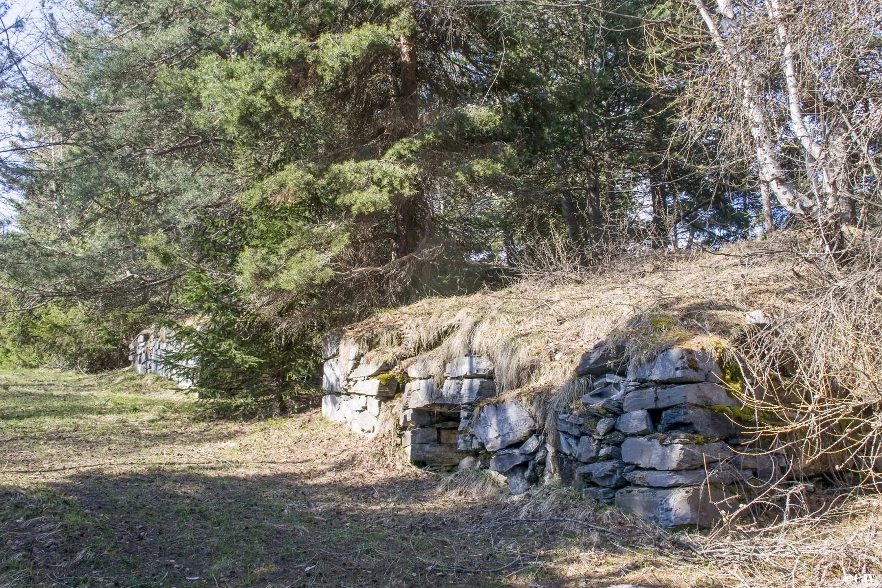 Ligne Maginot - TELEGRAPHE SUD - (Position d'artillerie préparée) - 