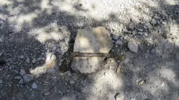 Ligne Maginot - FORT DAUPHIN - (Chambre de coupure) - Câble téléphonique sortant de terre sur le chemin vers la chambre de coupure