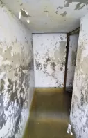 Ligne Maginot - C31 - (Chambre de coupure) - 