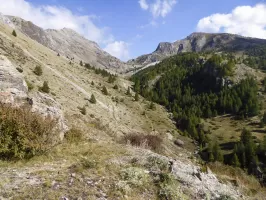 Ligne Maginot - PA 2018 - (Blockhaus pour arme infanterie) - Vue du bloc nord sur Rouchouze