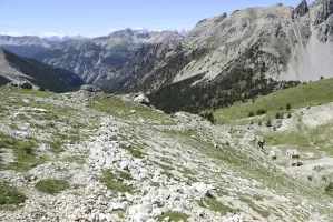 Ligne Maginot - CHARRA (RETRANCHEMENT) - (Divers) - Retranchement entre la pilule supérieure à gauche et l'emplacement le plus haut. Le casernement 9ème est en bas à droite