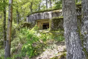 Ligne Maginot - BIESENBERG - (Casemate d'artillerie) - Vue extérieure