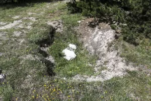 Ligne Maginot - MONT QUITAINE - (Observatoire indeterminé) -  Excavation sur le sommet, arme d'infanterie probable