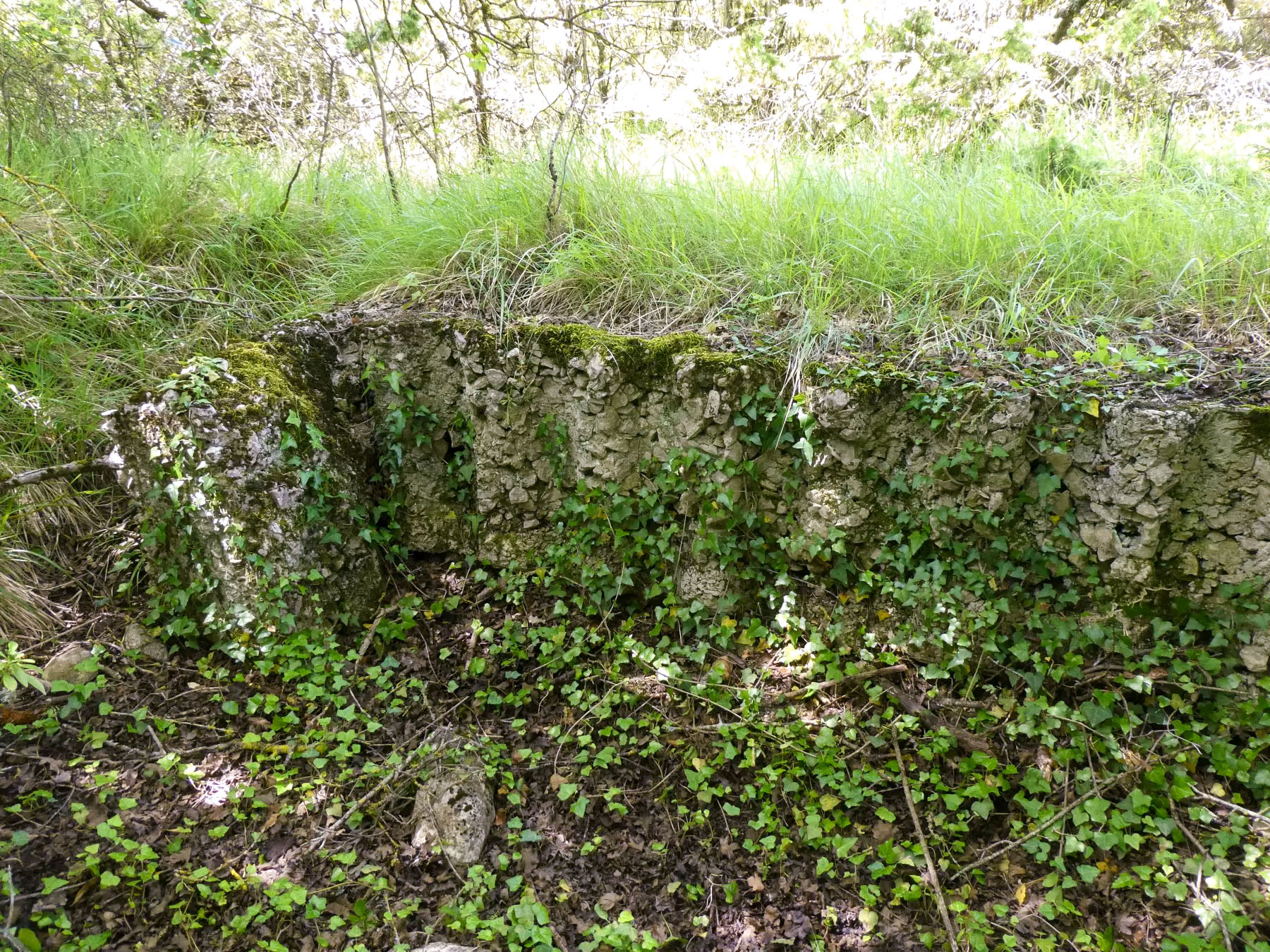 Ligne Maginot - COL DE SEGRA SUD - (Abri) - 