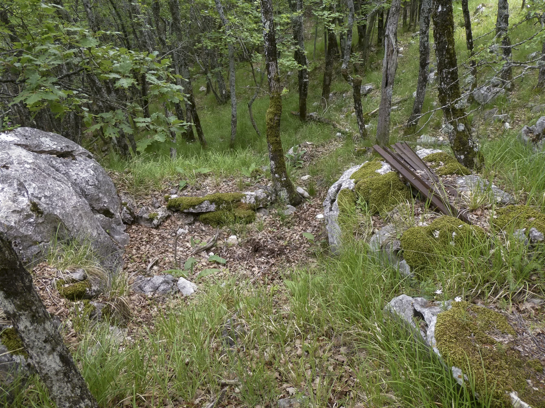 Ligne Maginot - COL DE SEGRA SUD-EST 3 - (Cuve pour arme d'infanterie) - 