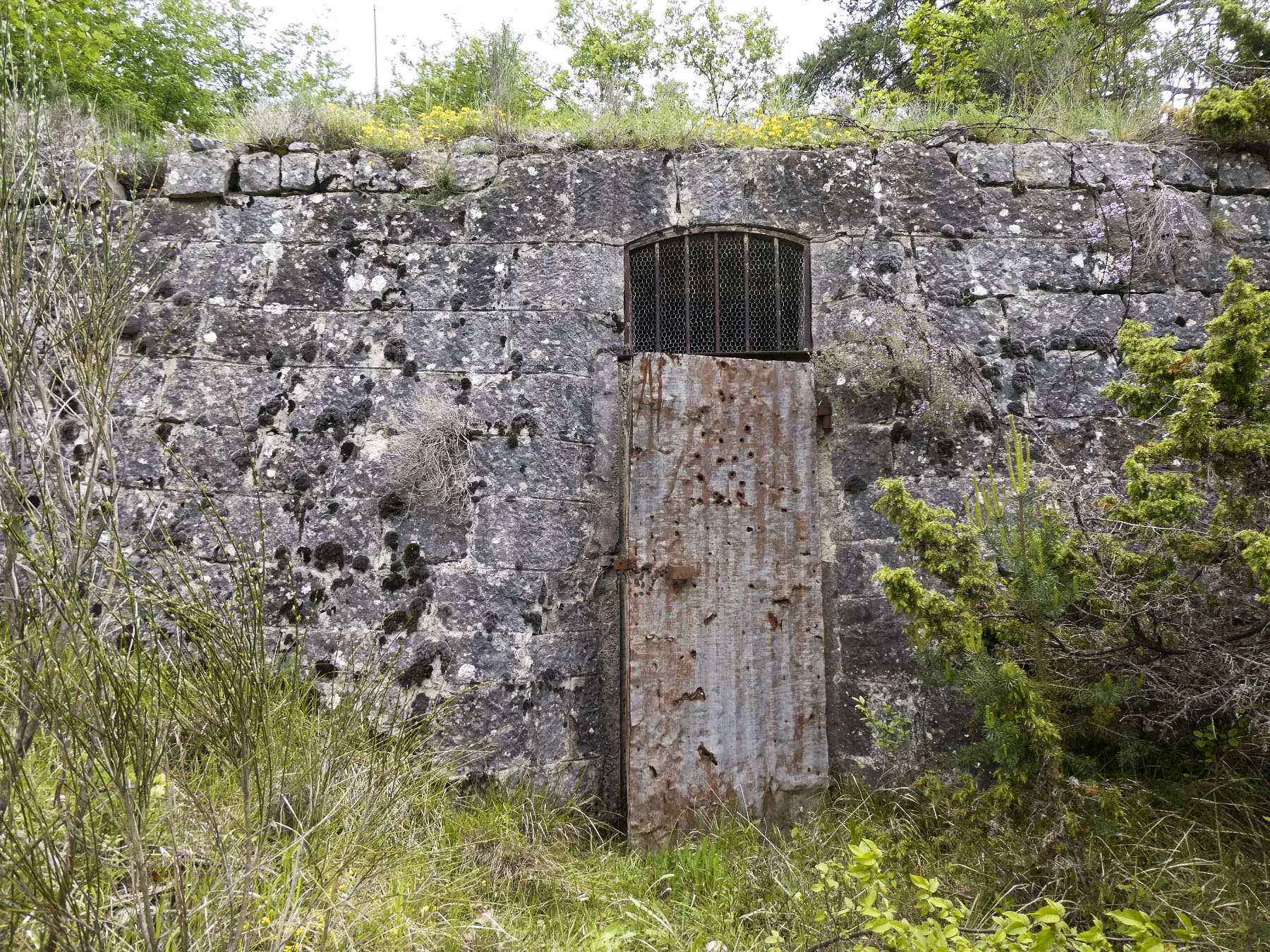 Ligne Maginot - RAVIN DE GAZOUIL - (Abri) - Environnement: le captage de Yéga