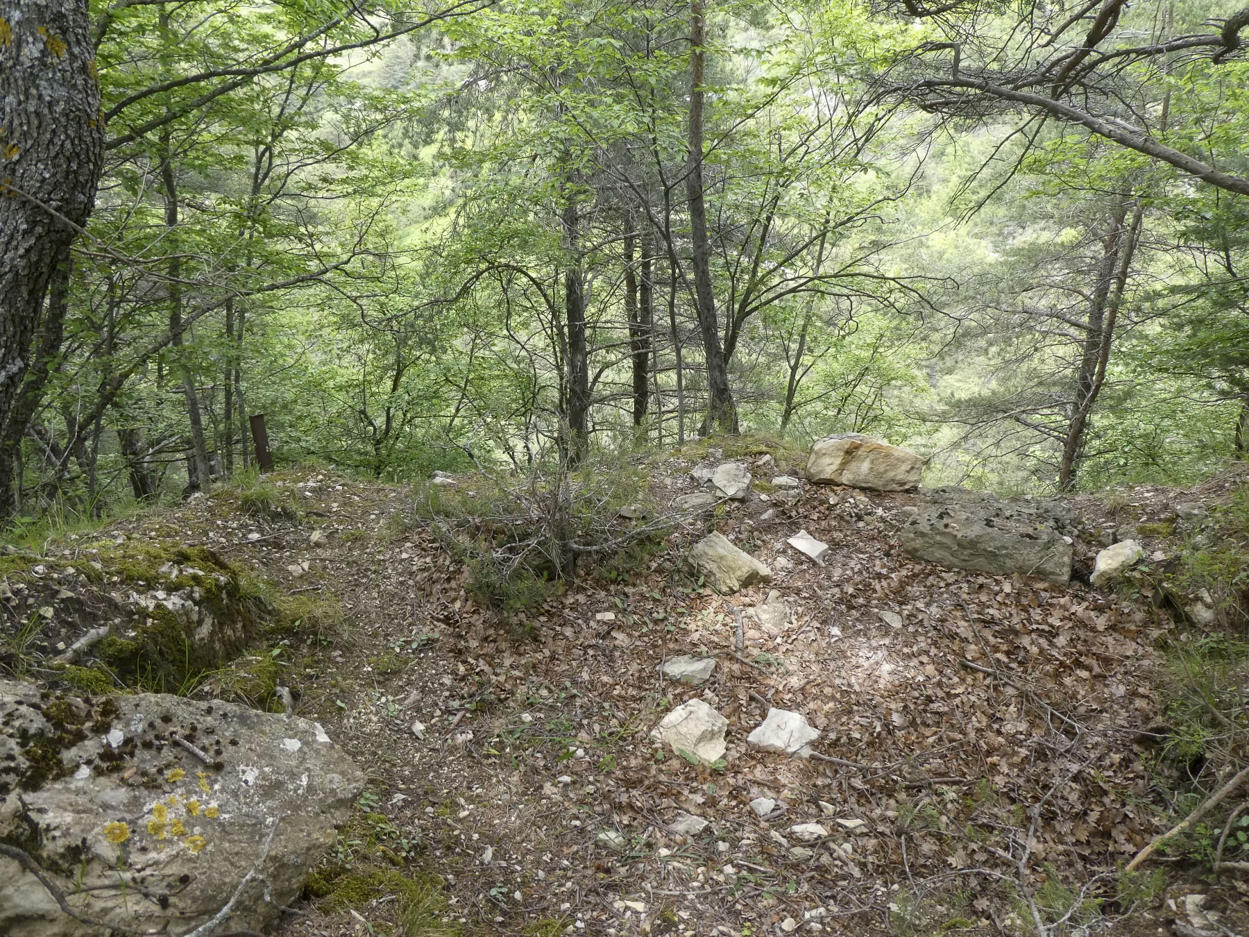 Ligne Maginot - RAVIN DE GAZOUIL - (Abri) - Environnement: Le point d'appui 
