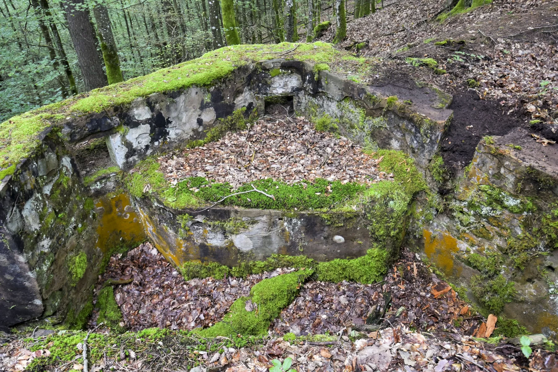 Ligne Maginot - DACHSECK 3 - (Cuve pour arme d'infanterie) - 