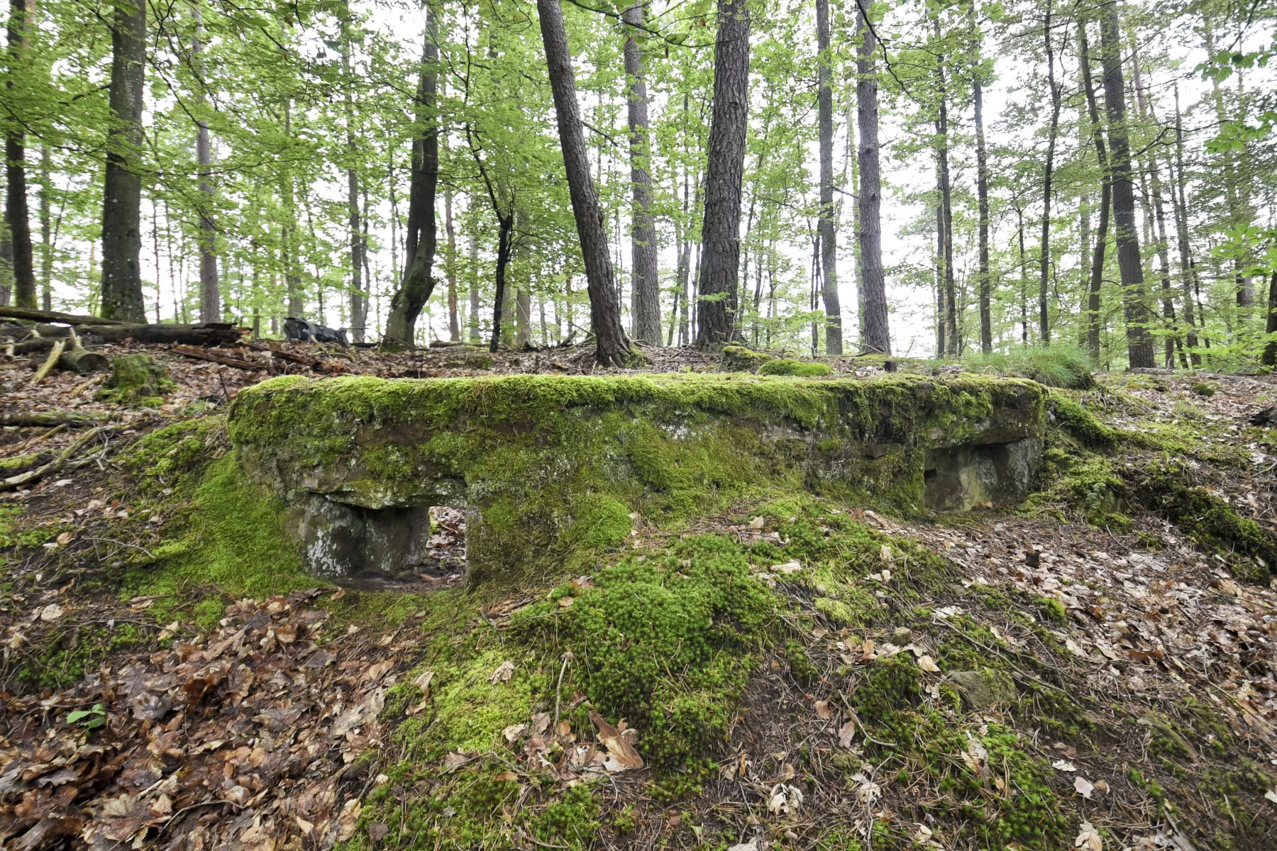 Ligne Maginot - DACHSECK 3 - (Cuve pour arme d'infanterie) - 