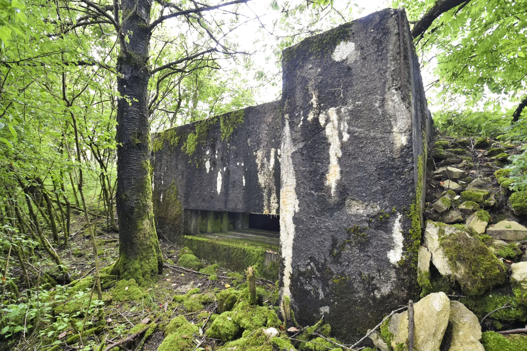 Ligne Maginot - AB7-C - BRANDSTUDEN  4 - (Blockhaus pour canon) - 