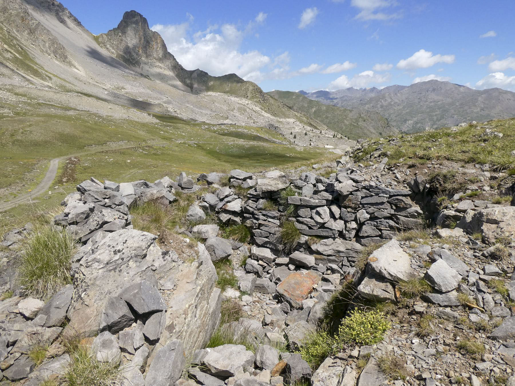Ligne Maginot - COL DE BUFFERE EST 2 - (Abri) - Environnement