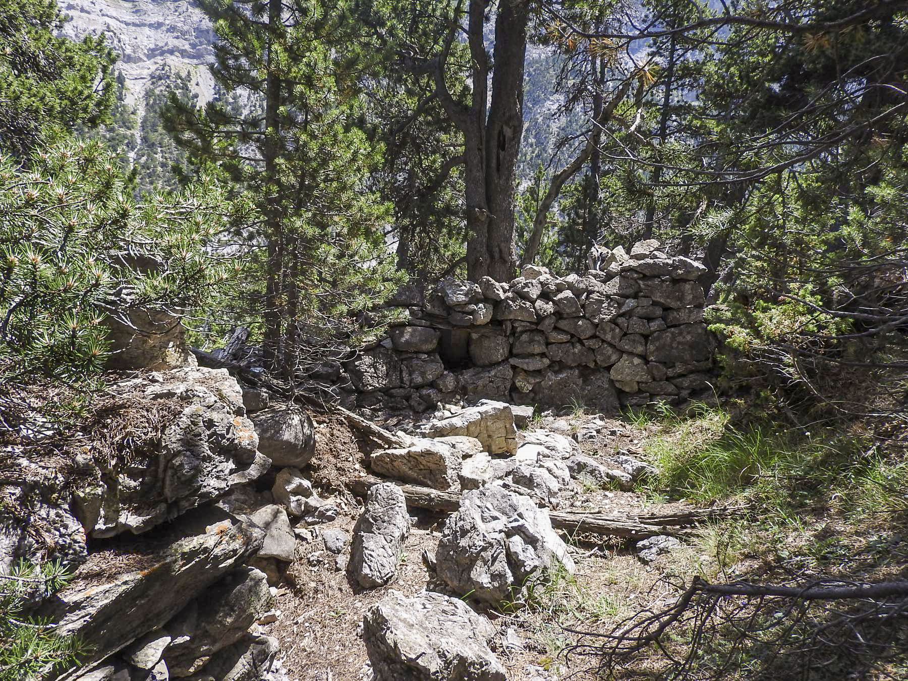 Ligne Maginot - COL DE L'ECHELLE 1 - (Blockhaus pour arme infanterie) - Une position d'infanterie à côté de la pilule.