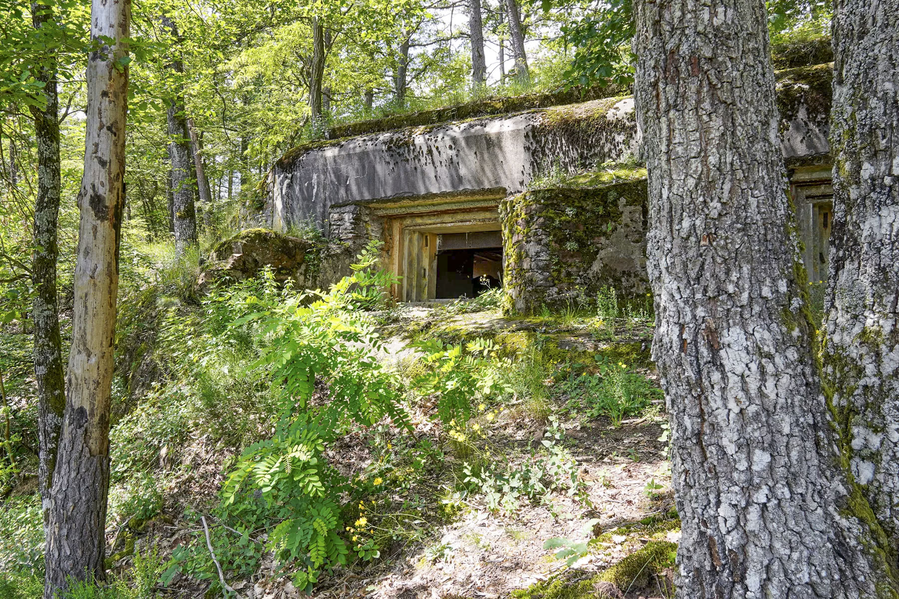 Ligne Maginot - BIESENBERG - (Casemate d'artillerie) - Vue extérieure