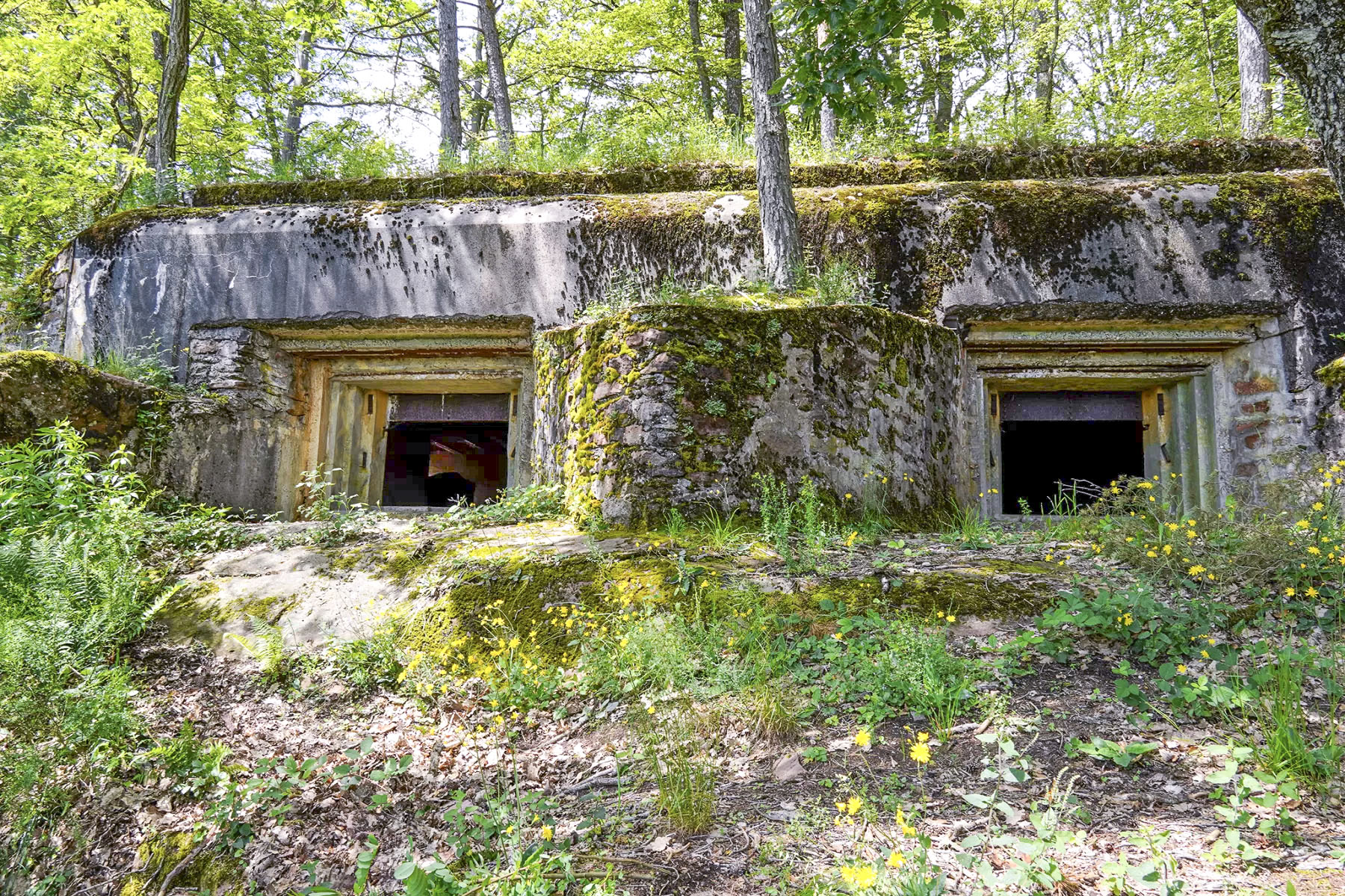 Ligne Maginot - BIESENBERG - (Casemate d'artillerie) - Vue extérieure