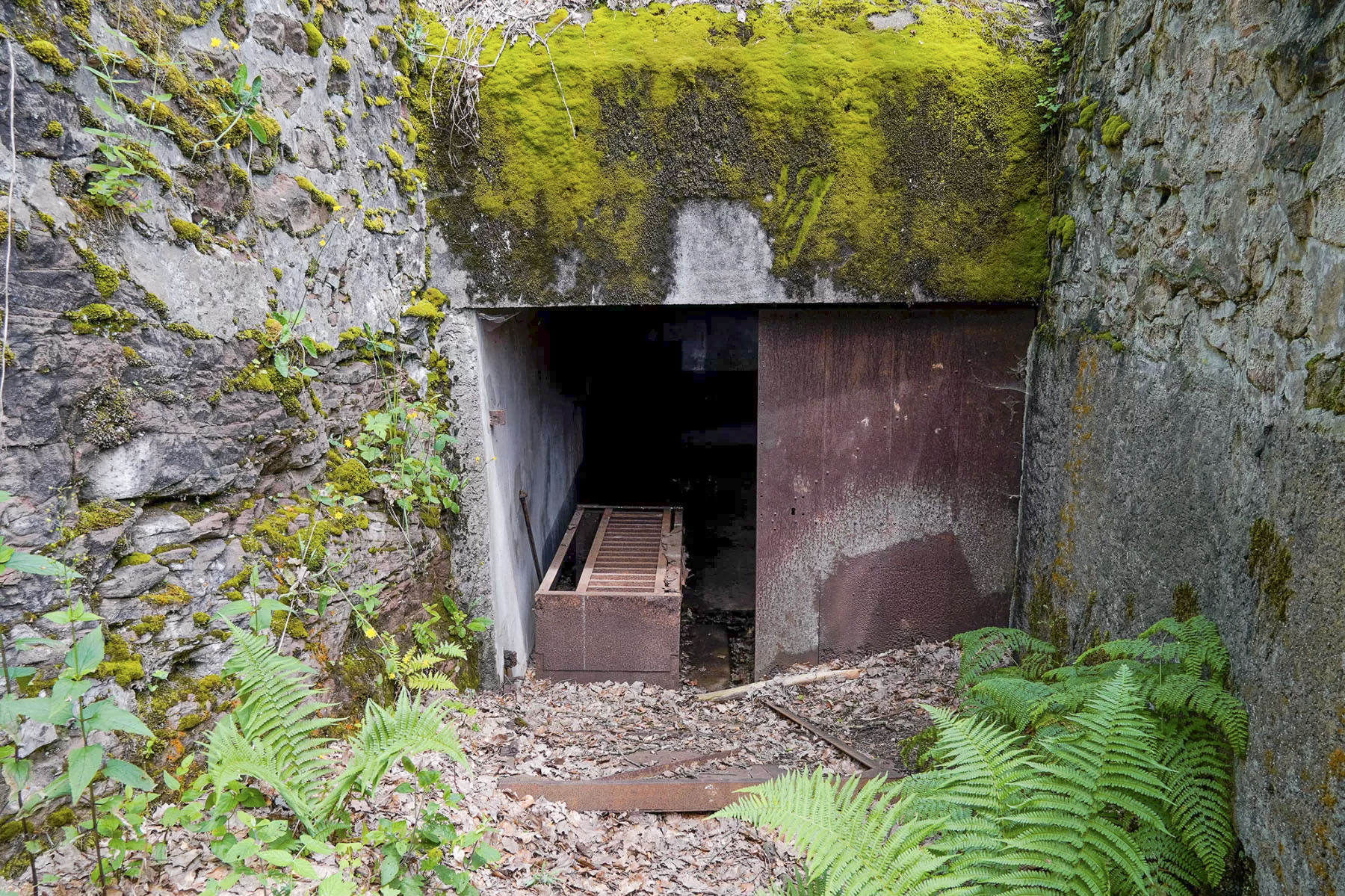 Ligne Maginot - BIESENBERG - (Casemate d'artillerie) - Entrée