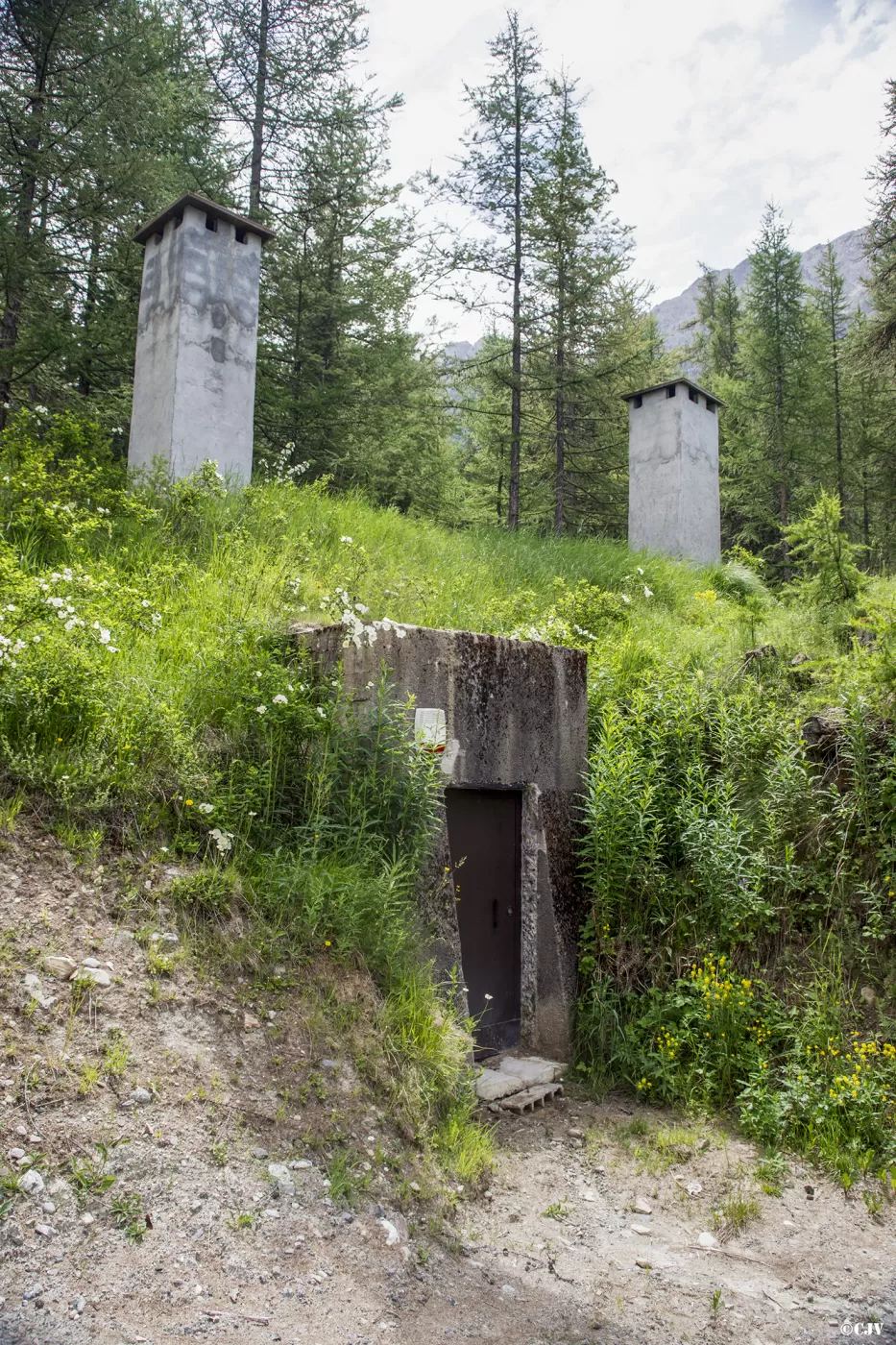 Ligne Maginot - BOIS DE SESTRIERES 10 - (Abri) - L'entrée gauche